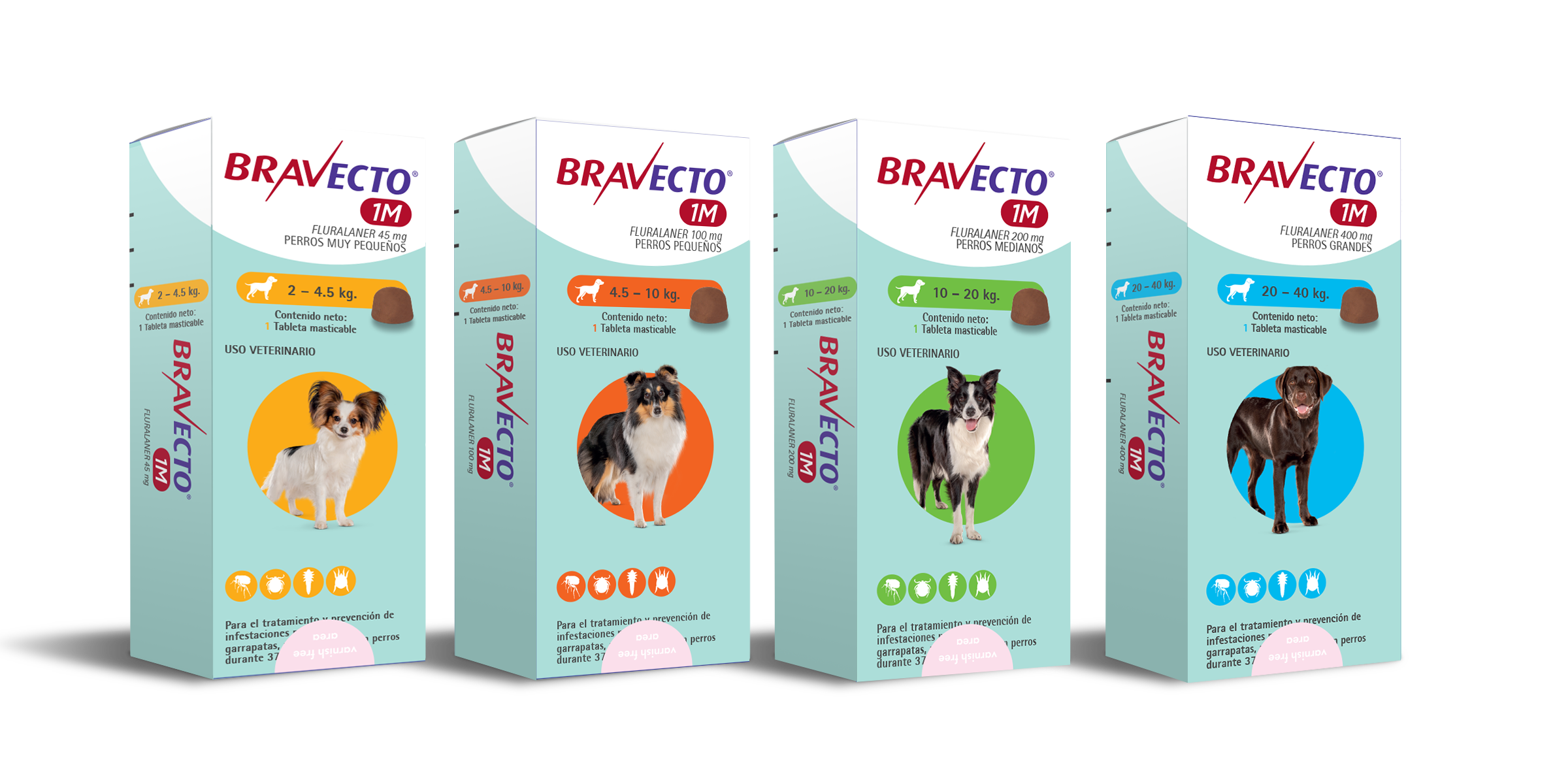 BRAVECTO® 1M - MSD Salud Animal Chile